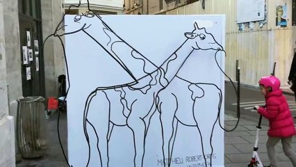 Elephant vs Giraffe Optical Illusion -OMG VIDEO