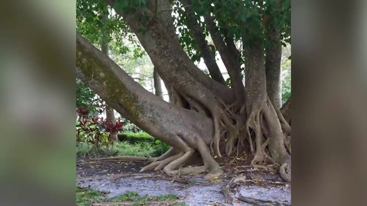 สุดยอดมายากล 2016 -- Top 10ภาพที่คุณต้องมองไปที่สองครั้ง