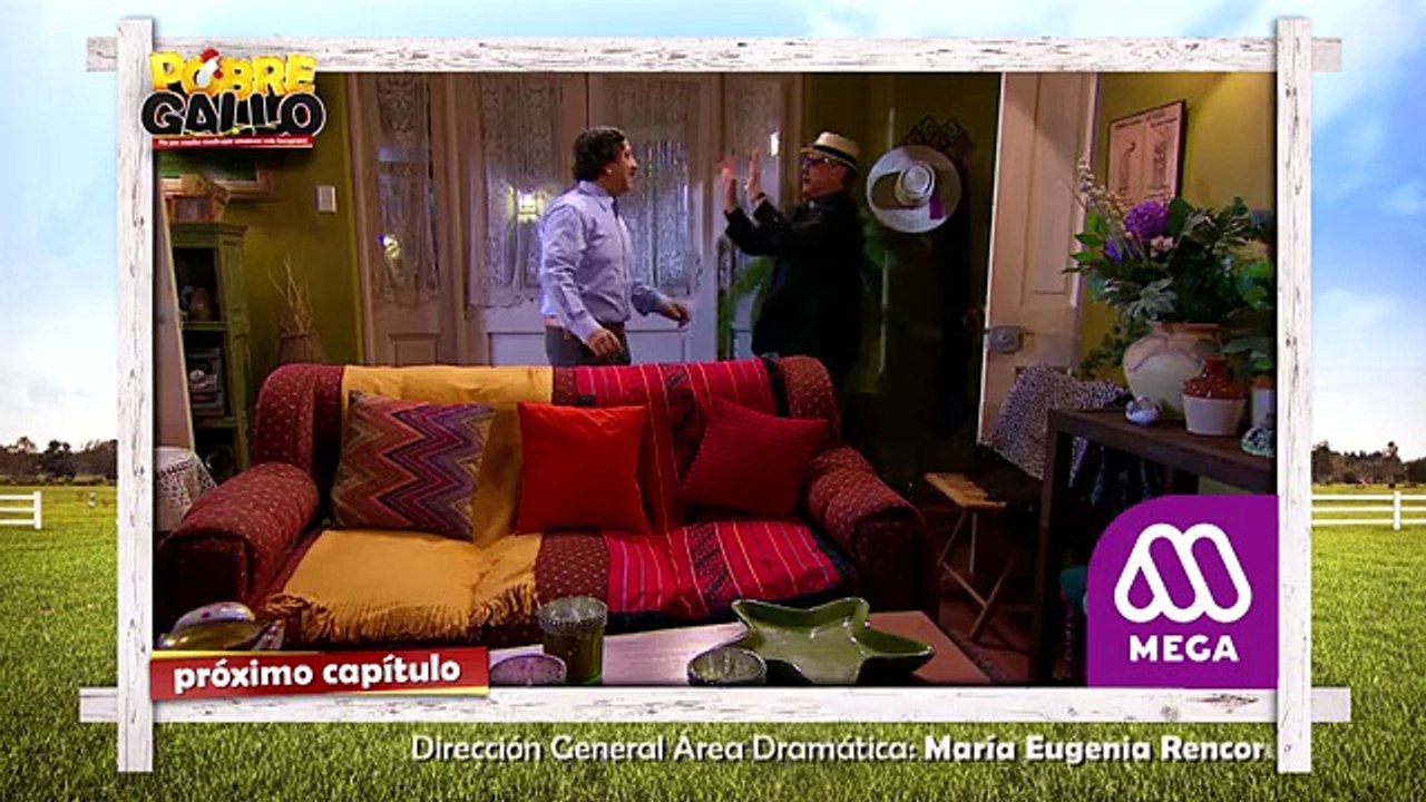 130 Avance Pobre Gallo