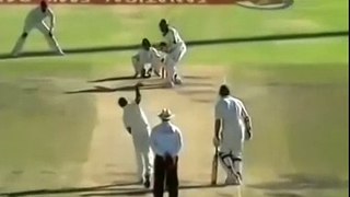 Top-5-Funny-Catches-In-Cricket-History-Ever-HD-●-Funny-Cricket-Moments-●