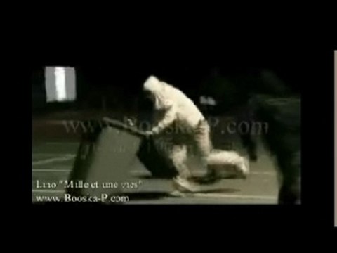 Lino mille et une vies