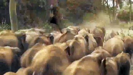 Onk bak 2 - 28 Avqust Saat 17:45