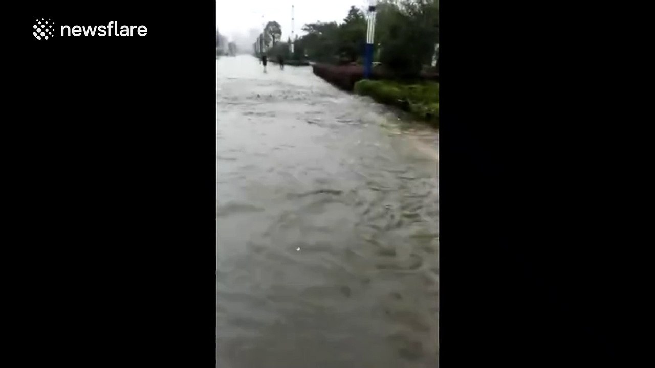 Street floods, giving new home to fish