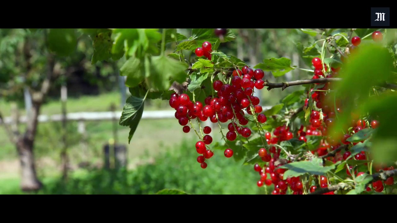 Cyril Dion : "la transition énergétique peut créer 684 000 emplois"