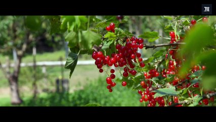 Cyril Dion : "la transition énergétique peut créer 684 000 emplois"