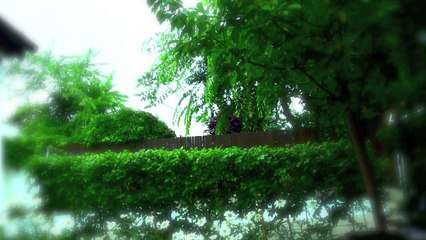 Singing on a rainy day #1 ~ "Perfect Two" ♥ -cover by Victoria (10)