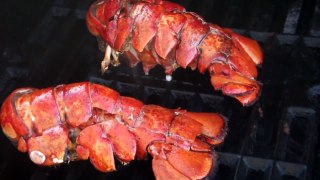 BBQ Lobster 2