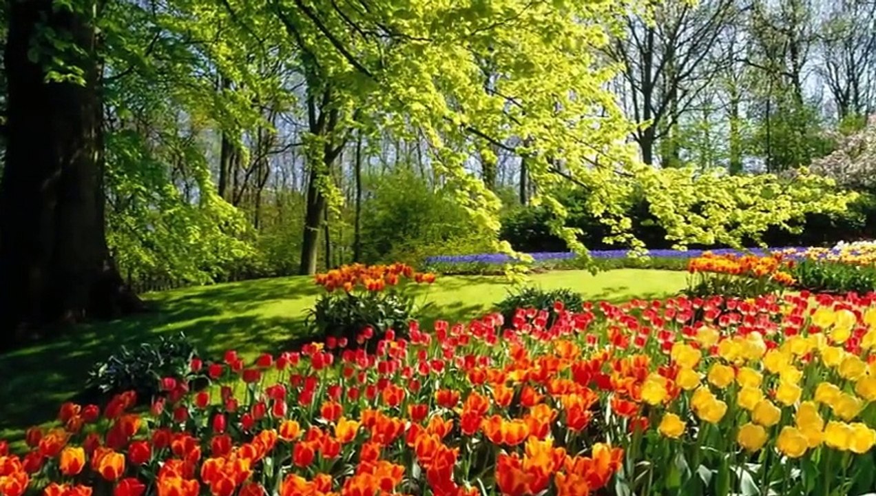 Tanti auguri Marasha.Buon compleanno da la tua amica Luisa nonnina.