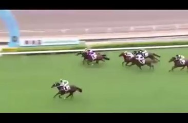 Pakistani star HORSE win the race