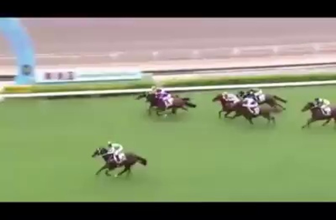 Pakistani star HORSE win the race