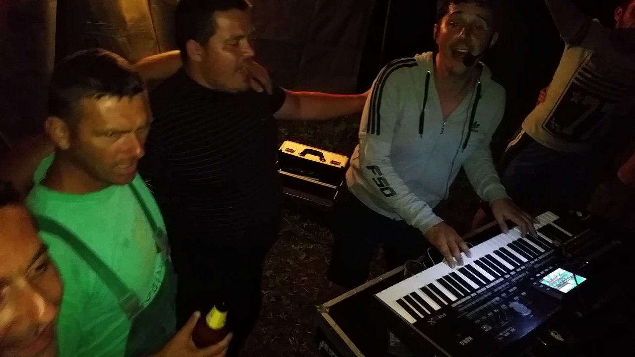 Saša Jelić - Nije moje srce ludo - LIVE