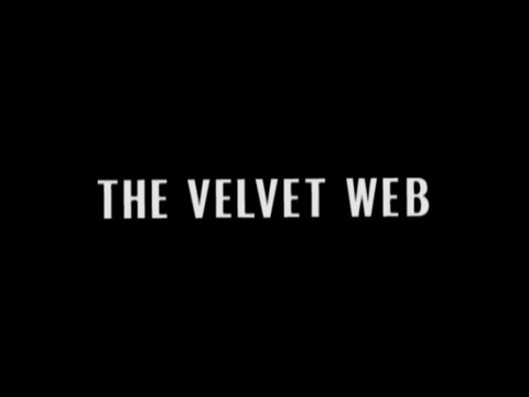 Doctor Who: Season 1 Episode 5: The Keys of Marinus (2) The Velvet Web