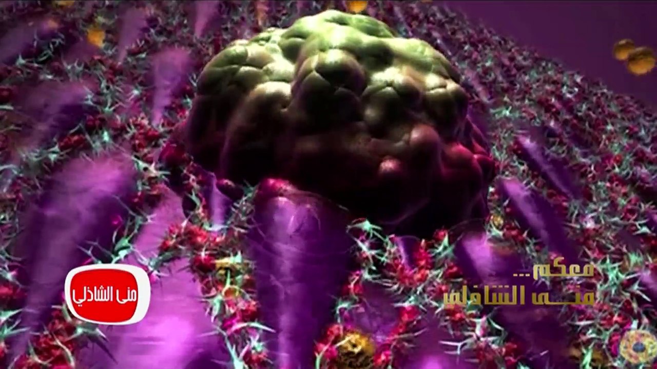الجزء الثاني من حلقه التخسيس1
