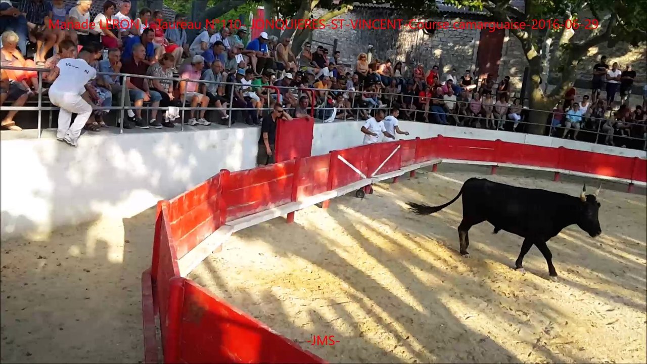 Manade LERON J.-Taureau N°110- JONQUIERES-ST-VINCENT-Course camarguaise-2016-06-29