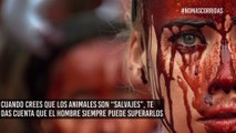 ‘Pamplona se baña de sangre’ para protestar contra las corridas de toros