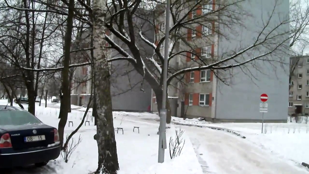 кот на углу Прушу 22 в Риге 17 января 2012