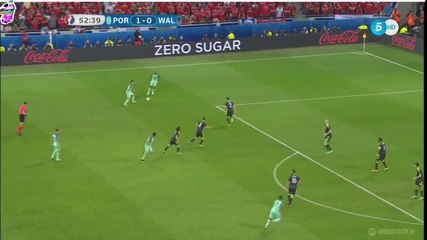 NANI 2-0 WALES portugal EURO
