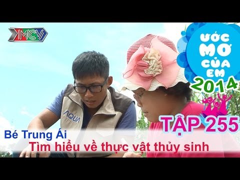 Tìm hiểu thực vật thủy sinh - Nguyễn Ngọc Trung Ái | ƯỚC MƠ CỦA EM | Tập 255