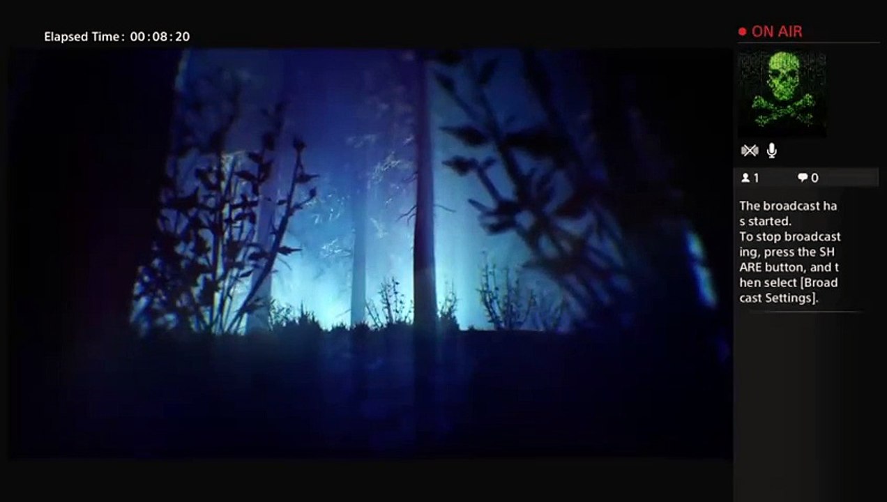 hightdrinlinjunk's Live PS4 Broadcast (3)