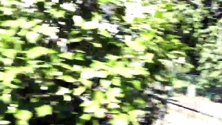 Terremoto a Casola in Lunigiana 23 06 2013, M4 4 ore 17 01 VIDEO IN PRESA DIRETTA