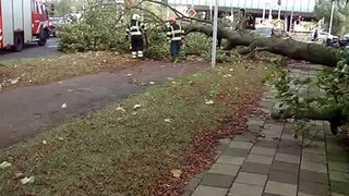 Brandweer Vianen in actie voor omgewaaide boom. 28-10-2013.