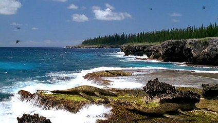 Walking With Dinosaurs - Ep 3 | Cruel Sea