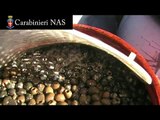 Carabinieri NAS - Sicurezza Alimentare: sequestrate circa 20 tonnellate di alimenti