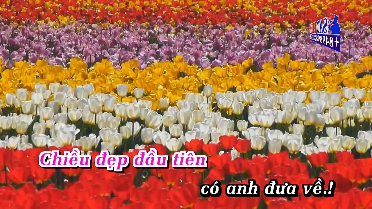 Karaoke Tự Tình Mùa Xuân (Mỹ Tâm)-FULLBEAT