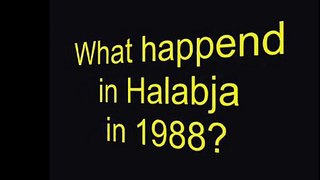 tag 2 1 2 7 What happened in Halabjah in 1988 0 20 sec