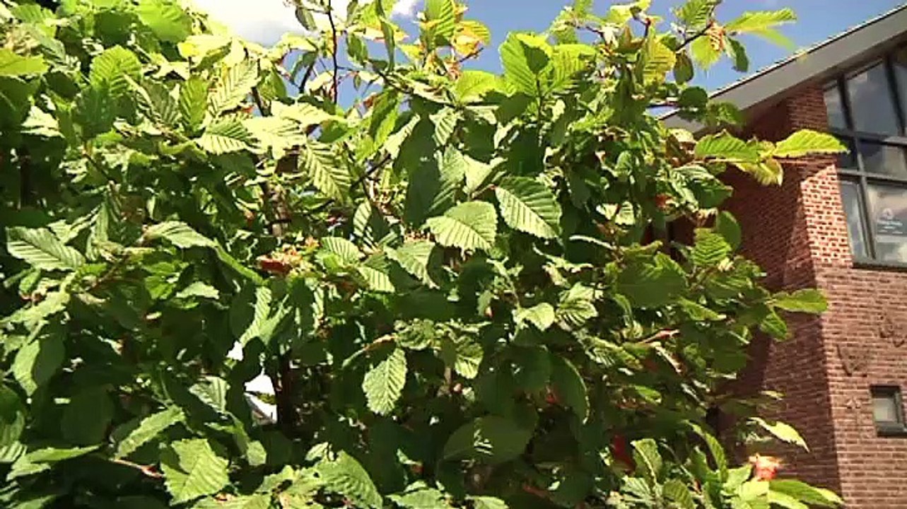 De meeste mensen die ik ken zijn er blij mee - RTV Noord