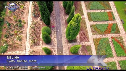 NELINA - LYATO, SLANTSE, MORE ⁄ Нелина - Лято, слънце, море, 2016