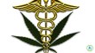 Medical Marijuana Reducing Demand For Some Prescription Drugs