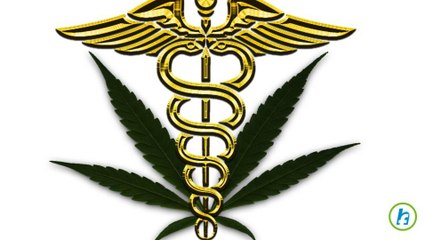 Medical Marijuana Reducing Demand For Some Prescription Drugs
