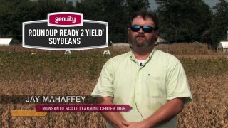 Genuity Roundup Ready 2 Yield Soybeans Benefit Southern Growers