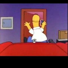 The Simpsons S01 E03 - Homers Odyssey