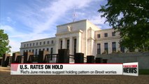 Fed's June minutes suggest holding pattern on Brexit worries