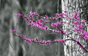 안전놀이터문의 네임드사다리프로그램 SuperCar123.Com 가입코드6623 양방배팅법