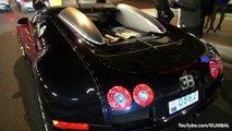 Bugatti Veyron 16.4 Left Alone with the Engine Running!