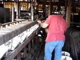 Tower Dairy (12/31/10) - Feeding Baby Calves w/ Jeff