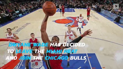 Dwyane Wade agrees to deal with Chicago Bulls