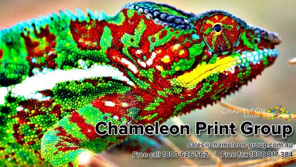 Printing, Signage and Promotional Solutions for your Business - Chameleon Print Group