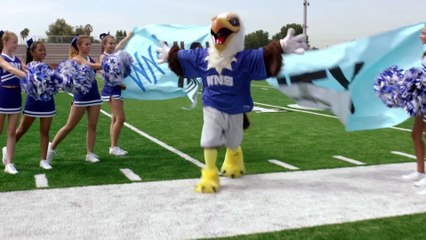 Jessica Darling's IT List - -Bee in the Suit