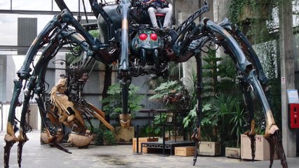 Les Araignées à Nantes
