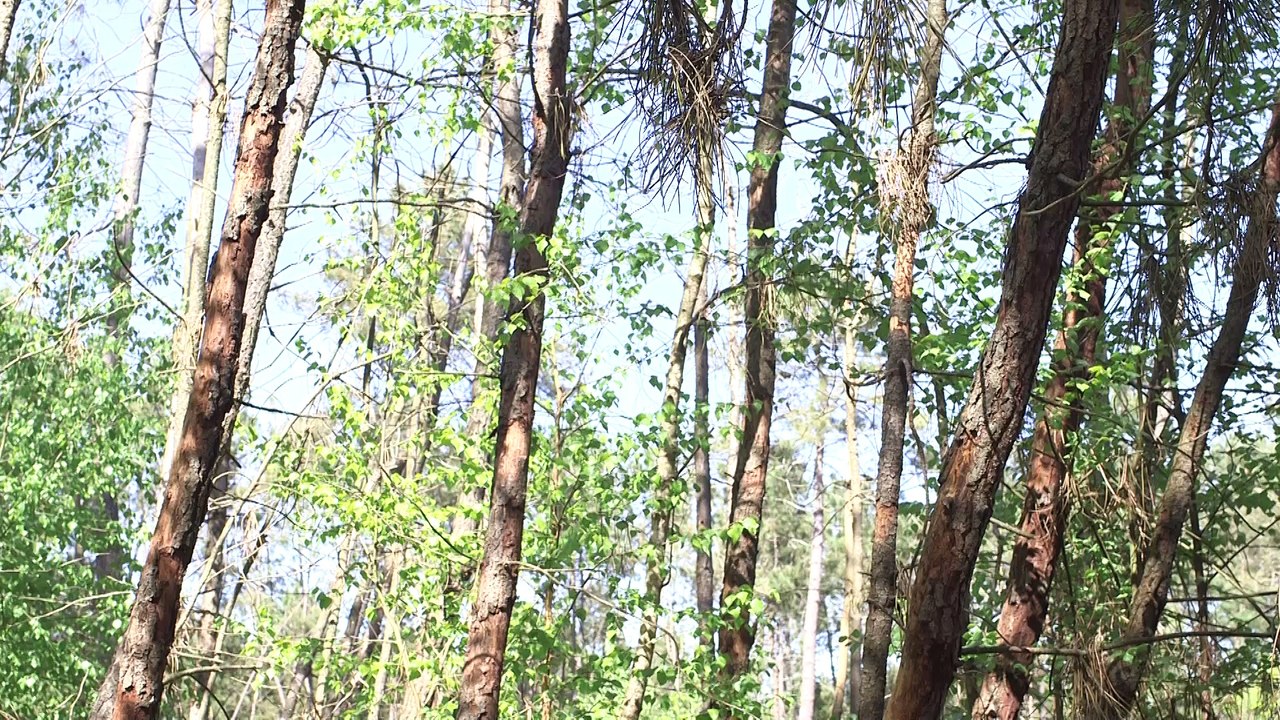 La légende de la fontaine Saint-Martin