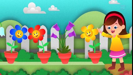 Mary Mary Quite Contrary   Nursery Rhyme