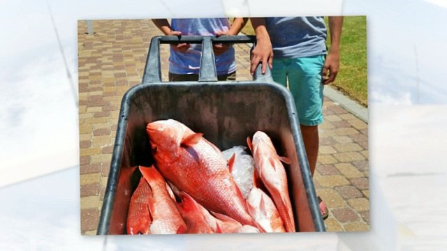 Fishing In Gulf Shores