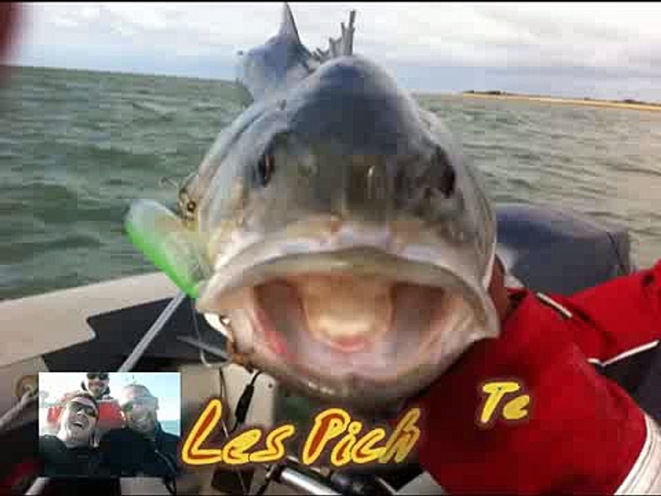 peche en mer 2011
