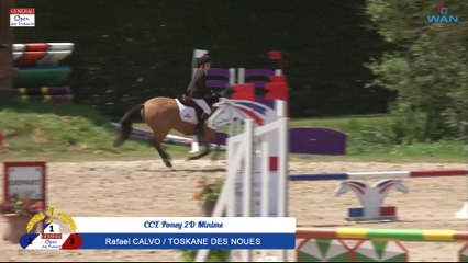 CCE Poney 2D Minime