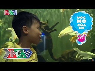 Ước mơ của em Nguyễn Đào Gia Kiệt - Tìm hiểu loài cá chưa biết - 05/07/2015