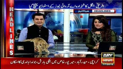 Headlines - 1300 - 7th July 2016